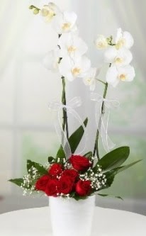 2 dall beyaz orkide 7 adet krmz gl  Batkent Ankara 14 ubat sevgililer gn iek 