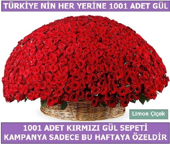 1001 Adet krmz gl Bu haftaya zel  Batkent Ankara nternetten iek siparii 