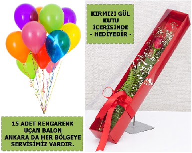 15 Adet uan balon ve kutuda krmz gl  Batkent Ankara iek , ieki , iekilik 