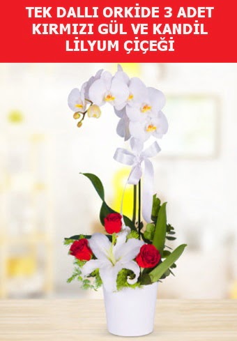 Tek dall orkide 3 gl ve kandil lilyum  Batkent Ankara iek yolla 