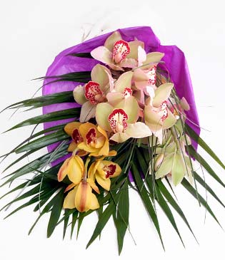 Batkent Ankara cicekciler , cicek siparisi  1 adet dal orkide buket halinde sunulmakta