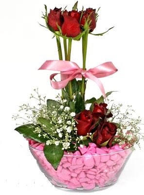  Batıkent Ankara İnternetten çiçek siparişi  SEVIYORUM DIYENLER 7 kirmizi gül tanzim 