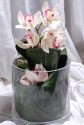  Batkent Ankara internetten iek siparii  Cam yada mika vazo ierisinde tek dal orkide