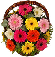 Sepet içerisinde sicak sevgi çiçekleri  Batıkent Ankara hediye çiçek yolla 