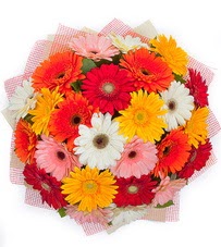 15 adet renkli gerbera buketi  Batıkent Ankara yurtiçi ve yurtdışı çiçek siparişi 