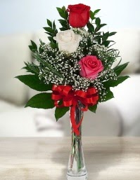 Camda 2 kırmızı 1 beyaz gül  Batıkent Ankara ucuz çiçek gönder 