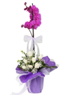 1 dal mor orkide ve 11 adet beyaz gl  Batkent Ankara 14 ubat sevgililer gn iek 