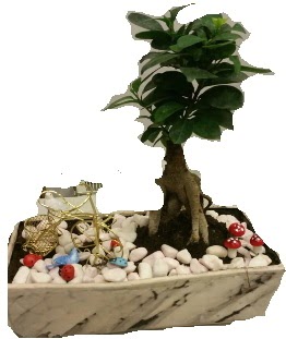 Japon aac bonsai sat  Batkent Ankara anneler gn iek yolla 