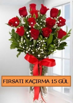  15 İthal kırmızı gül büyük başlı orjinal  Batıkent Ankara çiçek siparişi sitesi 