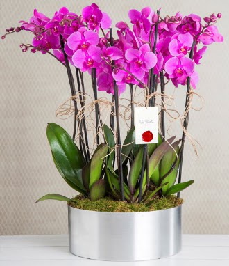 11 dallı mor orkide metal vazoda  Batıkent Ankara çiçek gönderme sitemiz güvenlidir 
