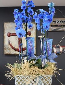 4 dall zel mavi orkide  Batkent Ankara iek siparii vermek 