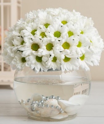 Fanusta beyaz Papatya  Batıkent Ankara çiçek satışı  